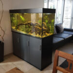 Raumteiler Aquarium – Fisch & Fitz Aquariendesign Inside Wohnzimmer Aquarium Raumteiler