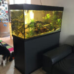 Raumteiler Aquarium – Fisch & Fitz Aquariendesign Regarding Wohnzimmer Aquarium Raumteiler